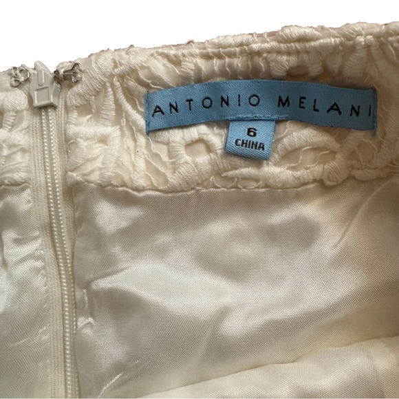 NWT Antonio Milano Becca Buttercup Fields Ivory Lace Skirt Sz 6 - Picture 4 of 5